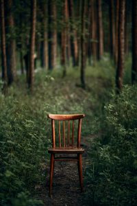 A wooden chair sitting in a clearing in a forest.