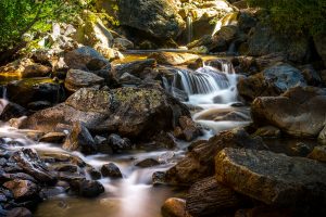 A river flowing over stones through a forest